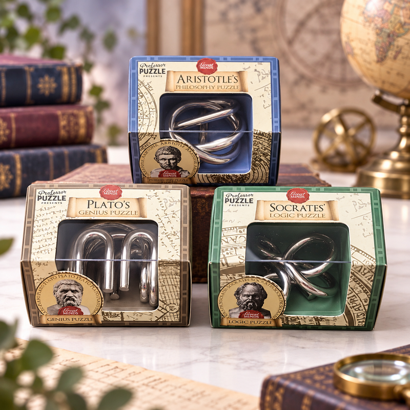 Great Minds Mini Metal Brain Teaser Puzzles