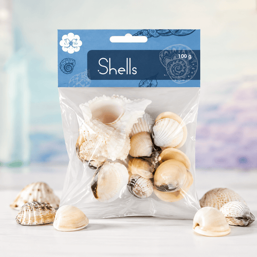 Natural Craft Seashells | 100g - Boxful Events