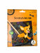 Scratch Art Kit: Discover Endless Creativity! - Boxful Events