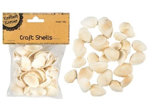White Clam Shells for DIY Craft - Boxful Events